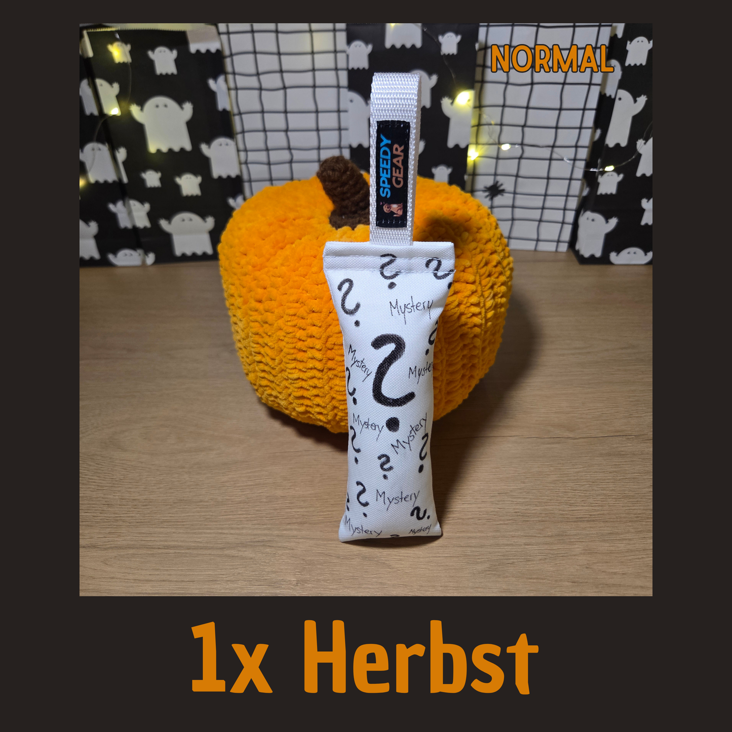 Mystery-Dummy "Herbst/Halloween" (VORBESTELLUNG)