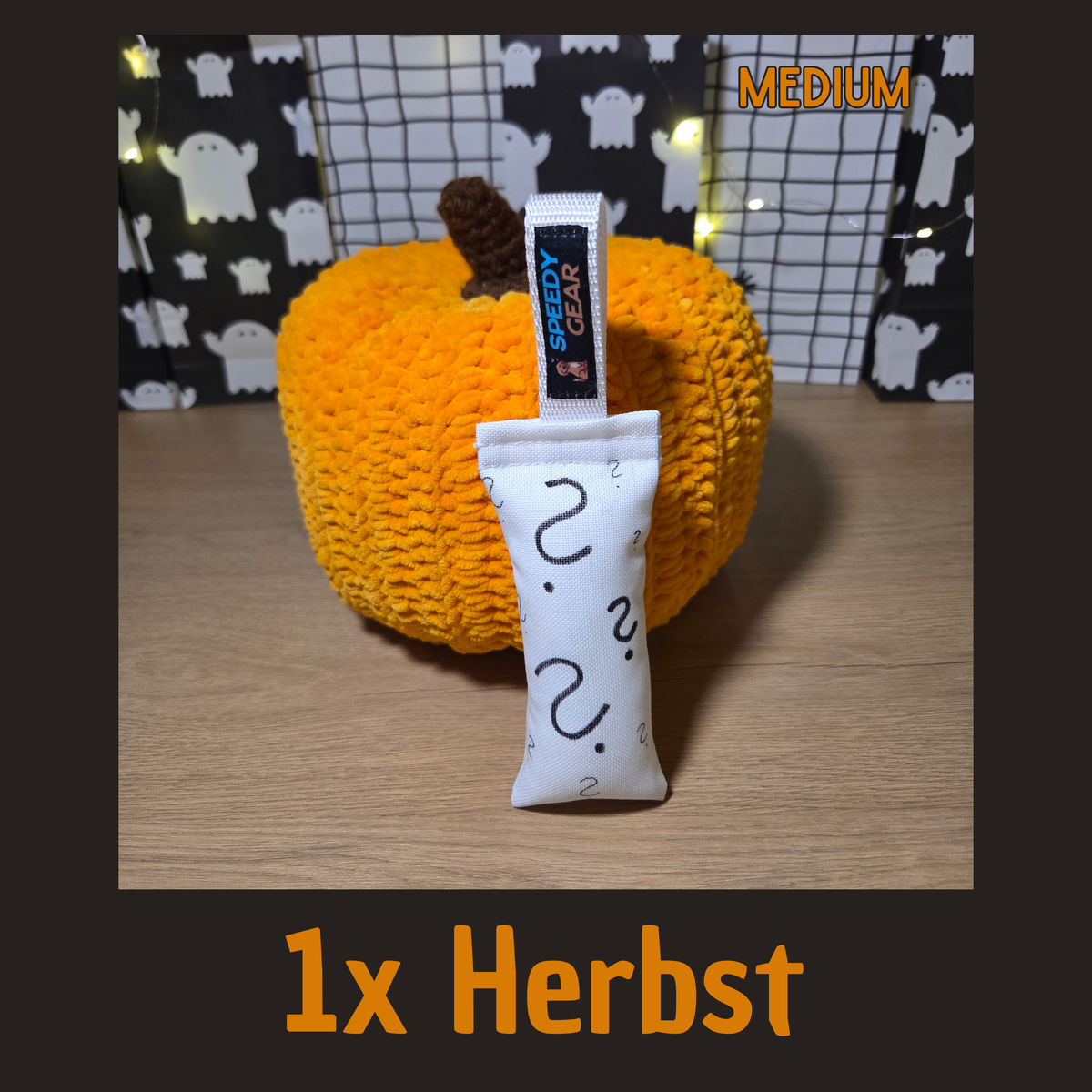 Mystery-Dummy "Herbst/Halloween" (VORBESTELLUNG)