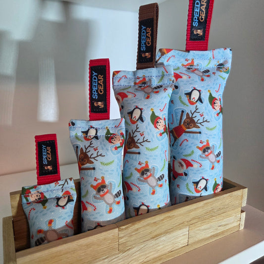 Dummy "Weihnachten hellblau" (Limited Edition)