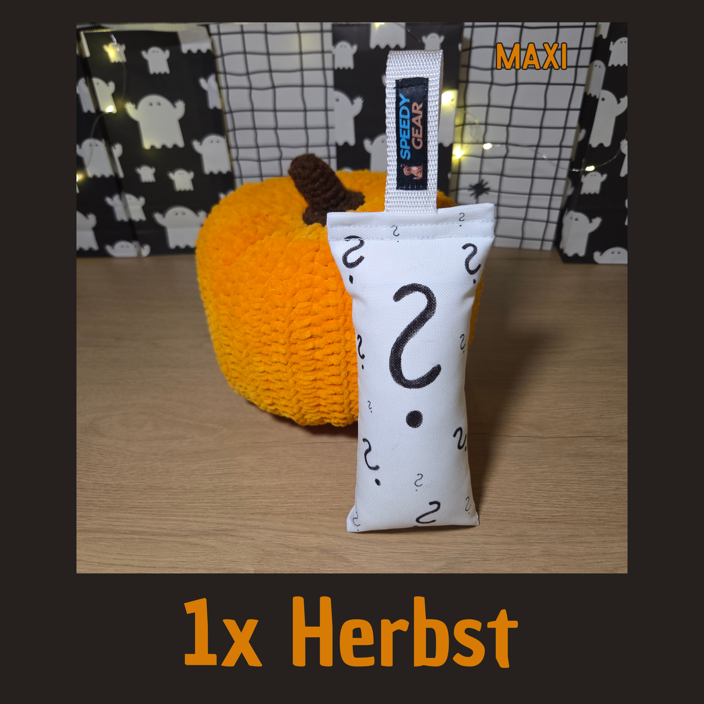 Mystery-Dummy "Herbst/Halloween" (VORBESTELLUNG)