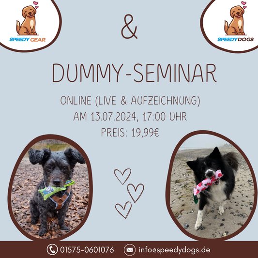 DUMMY-SEMINAR (AUFZEICHNUNG vom 13.07.2024)