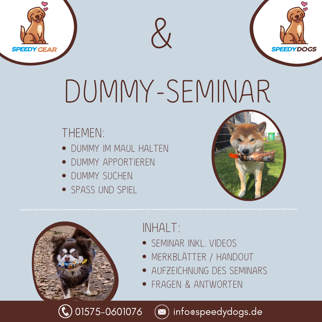 DUMMY-SEMINAR (AUFZEICHNUNG vom 13.07.2024)