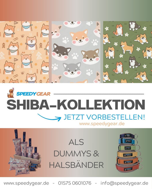 3er Dummy-Set "Shiba Inu" (-10% Rabatt als Set) VORBESTELLUNG für voraussichtlich Ende Mai
