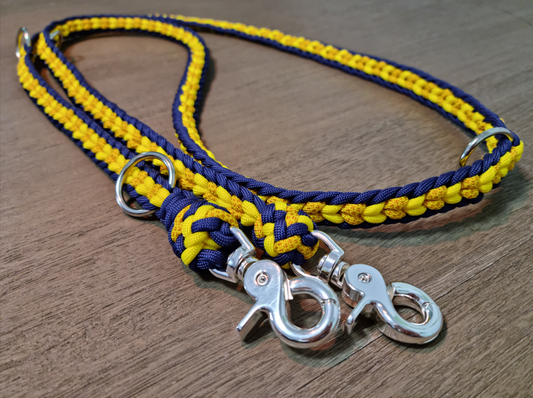 Paracord Leine "Blau & Gelb", 2 Meter (passend zur Blumen-Kollektion)